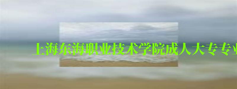 上海東海職業(yè)技術(shù)學(xué)院成人大專專業(yè)有哪些