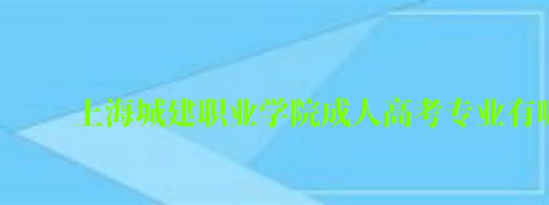 上海城建職業學院成人高考專業有哪些