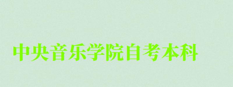 中央音樂學院自考本科（中央音樂學院自考本科專業）