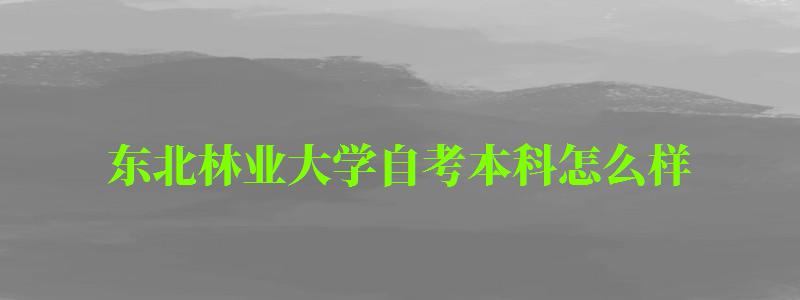 東北林業大學自考本科怎么樣（東北林業大學自考本科怎么樣啊）