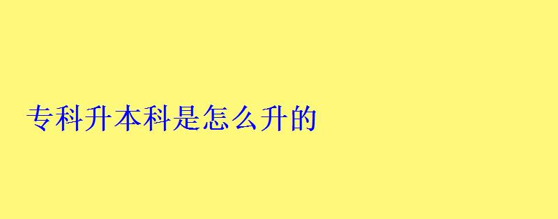 專科升本科是怎么升的