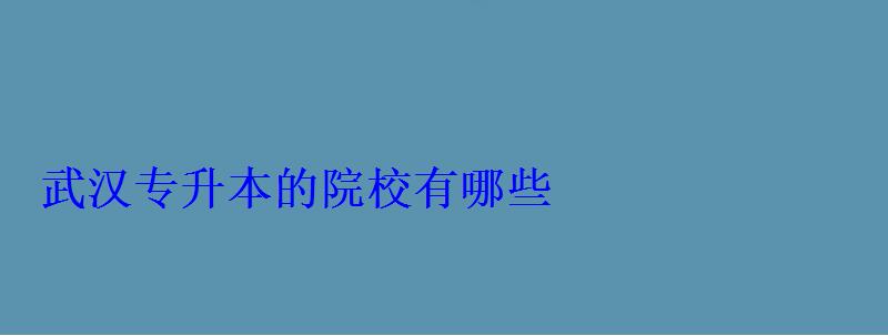 武漢專升本的院校有哪些