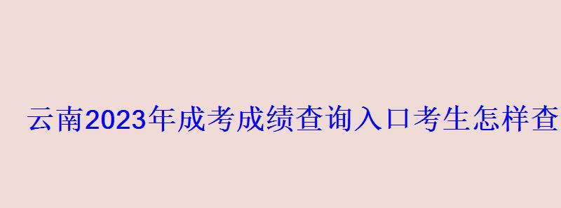 云南2023年成考成績查詢入口考生怎樣查分