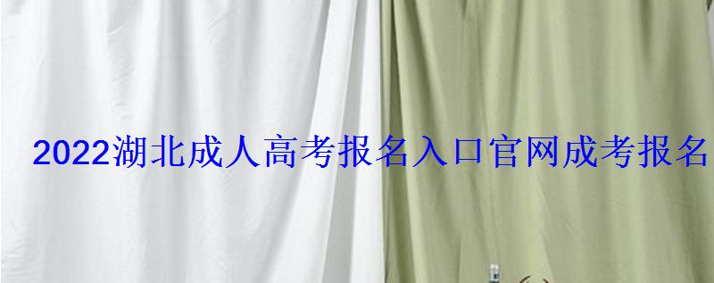 2022湖北成人高考報名入口官網，成考報名官網