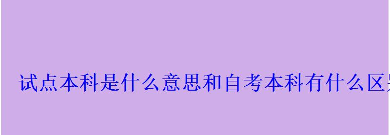 試點本科是什么意思和自考本科有什么區別