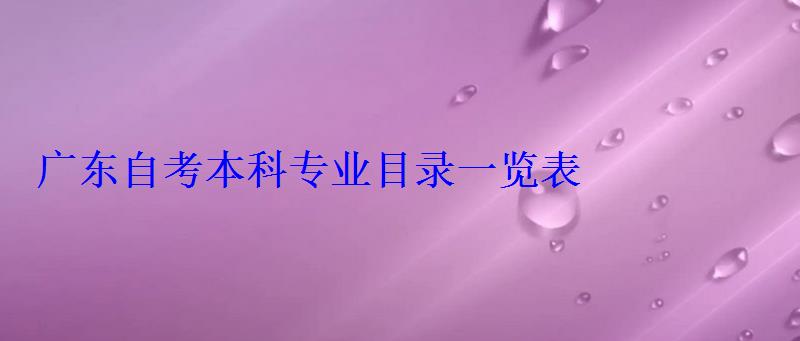 廣東自考本科專業(yè)目錄一覽表，廣東自考本科報名官網(wǎng)入口