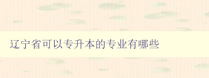 遼寧省可以專升本的專業(yè)有哪些 詳細介紹遼寧省專升本開設(shè)的專業(yè)方向