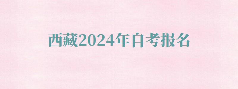 西藏2024年自考報名