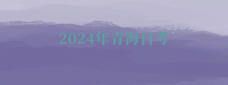 2024年青海自考