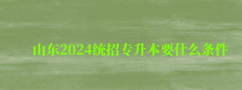 山東2024統招專升本要什么條件