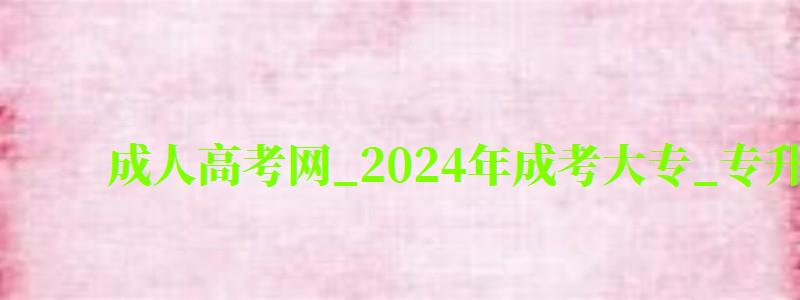 成人高考網_2024年成考大專_專升本報名招生平臺