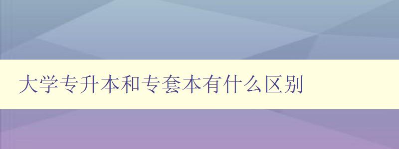 大學專升本和專套本有什么區別 詳解兩種不同的升學路徑