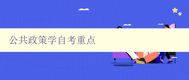 公共政策學(xué)自考重點(diǎn) 深入解析公共政策學(xué)的核心要點(diǎn)