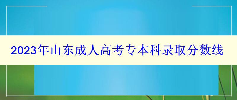 2023年山東成人高考專本科錄取分數線