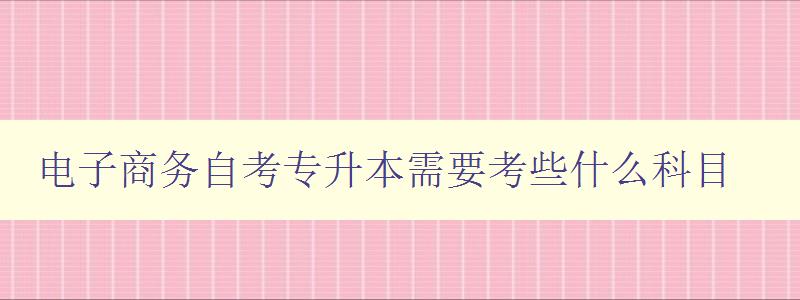 電子商務(wù)自考專升本需要考些什么科目