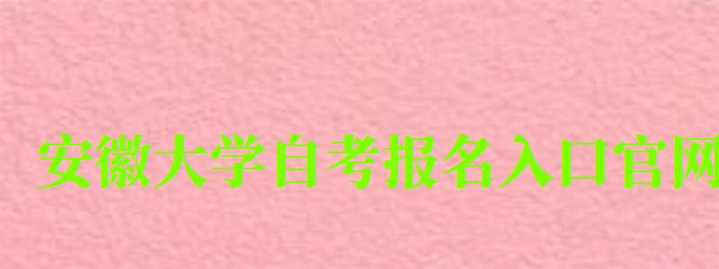 安徽大學自考報名入口官網